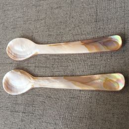 12CM Shell Hotel Coffee Dessert Ice Cream Spoon